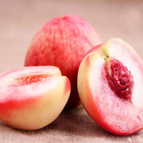 桃树苗，白香桃，脱骨桃，果大味甜，单果重300-400克。